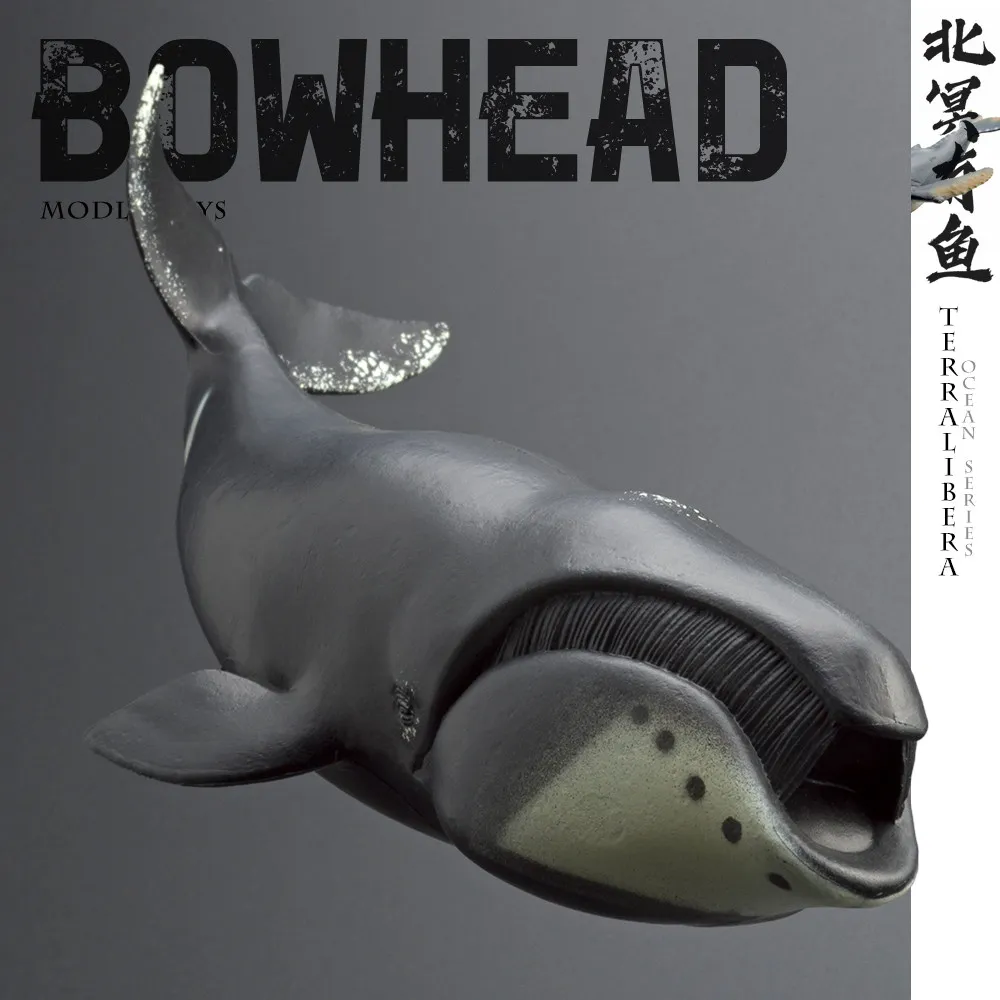 Simulation ocean animal models whale right whale bowhead whale underwater creature figurines for educational and desktop decora