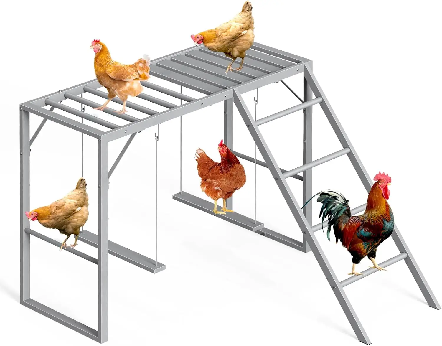 

Chicken Perch Swing, Chicken Roosting Bars with Ladder for Coop, Metal Pet Swing Set for Pet's Healthy & Happy for 8-10 Chick, G