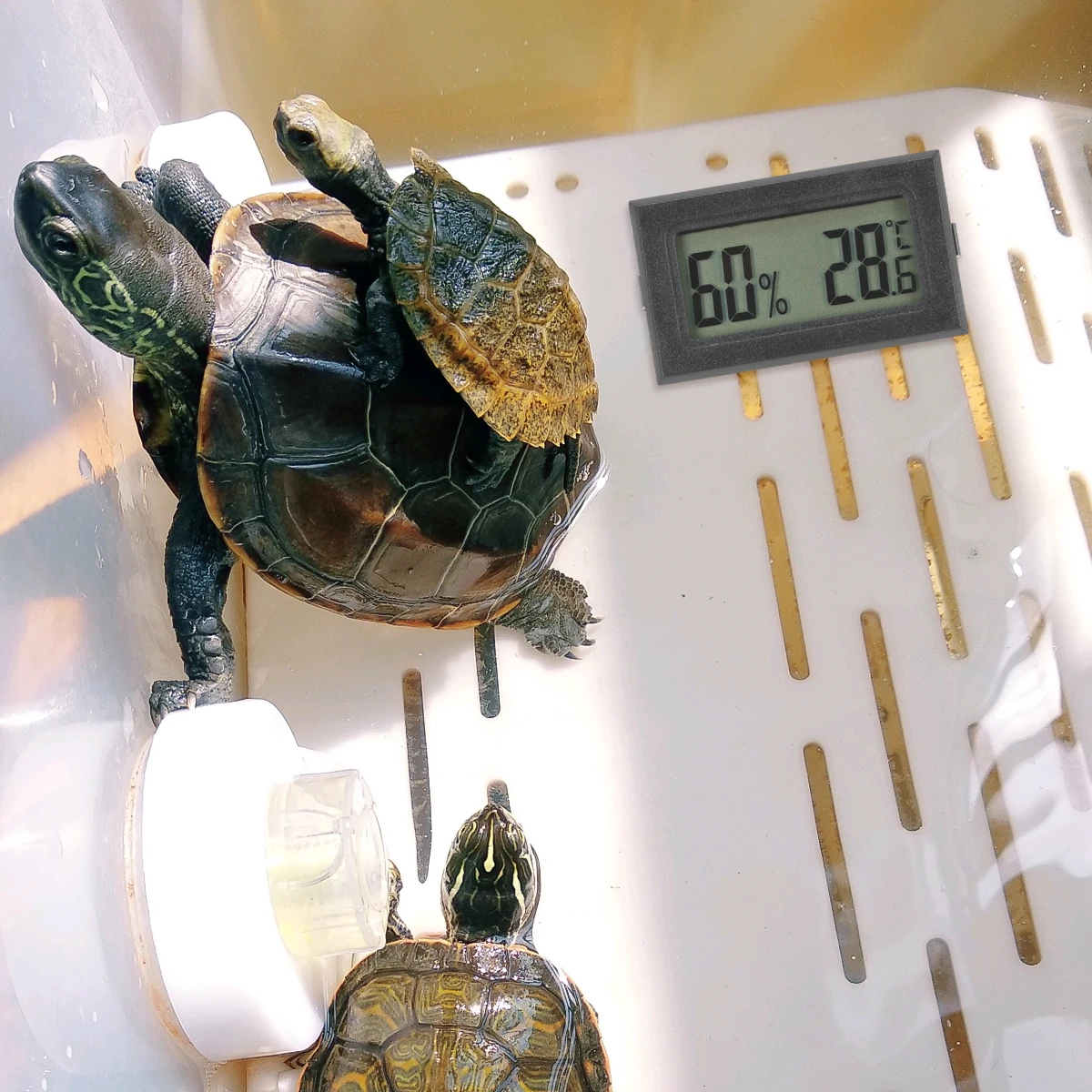 

5Pcs Mini Hygrometer Thermometer LCD Hygrothermograph for Reptiles Small Breeding Space Easy to Carry and Use Digital Hygroscope