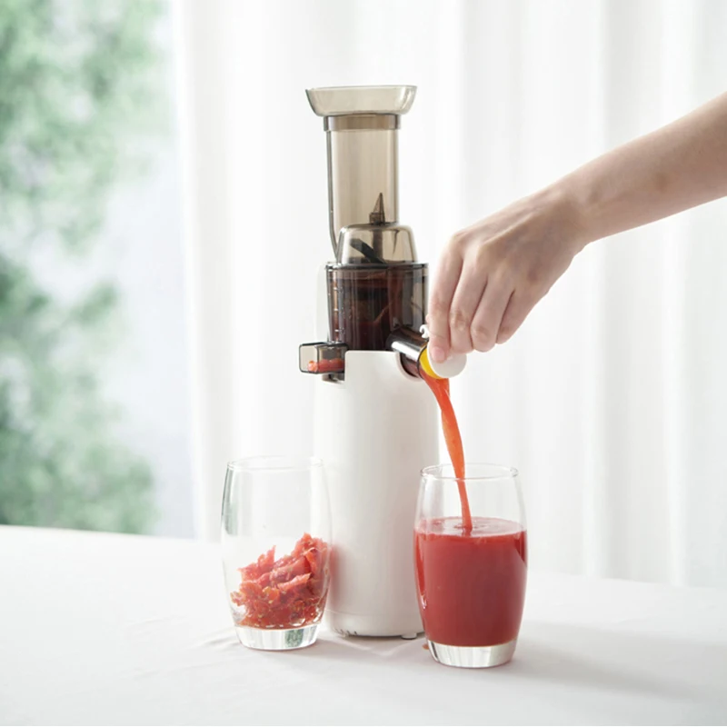 Slow Electric Juicer Household Full-automatic Orange Celery Juicer Multifunctional Residue Juice Separation Fruit Juicer 220V