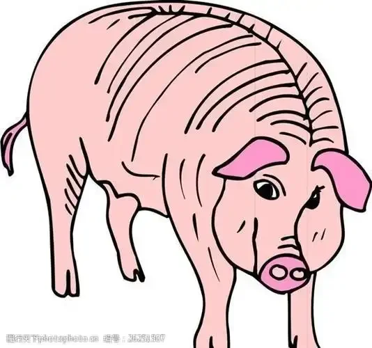 

1 Pair Metal Steering Suspension Upgrade Kit CVD Shock Absorber Lower Arm for 1/10 RC Car 3Racing Sakura D5