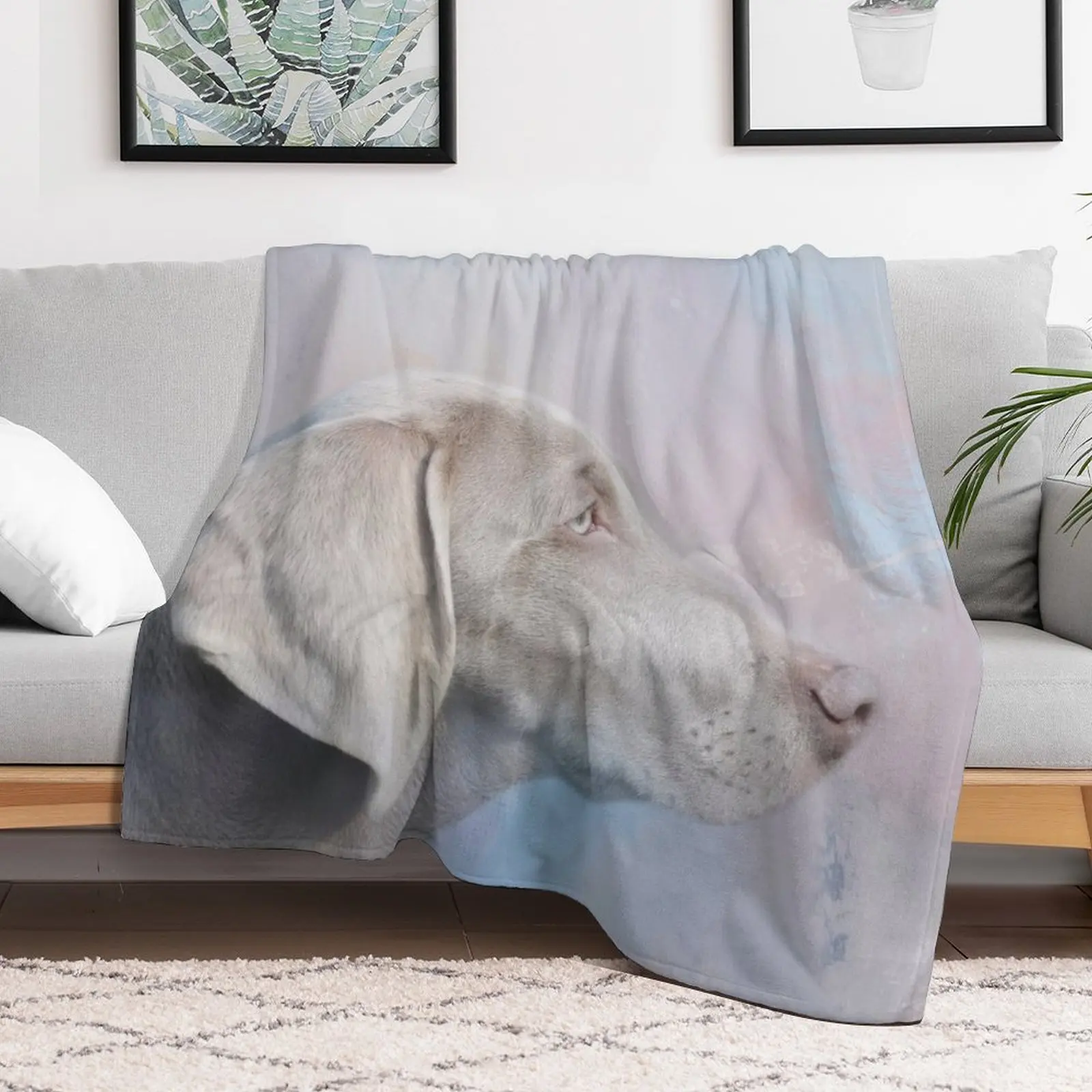 Cute Weimaraner Dog Throw Blanket