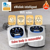 WiFi Smart Itelligent Valve DN15/DN20/DN25 App Remot Voice Control Works With eWelink Salute Alexa Alice Google Home Yandex Hue