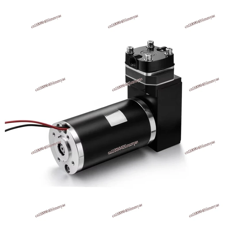 Miniature 12DC12/24 Bubble Water Level Gauge Swing Piston Vacuum Pump