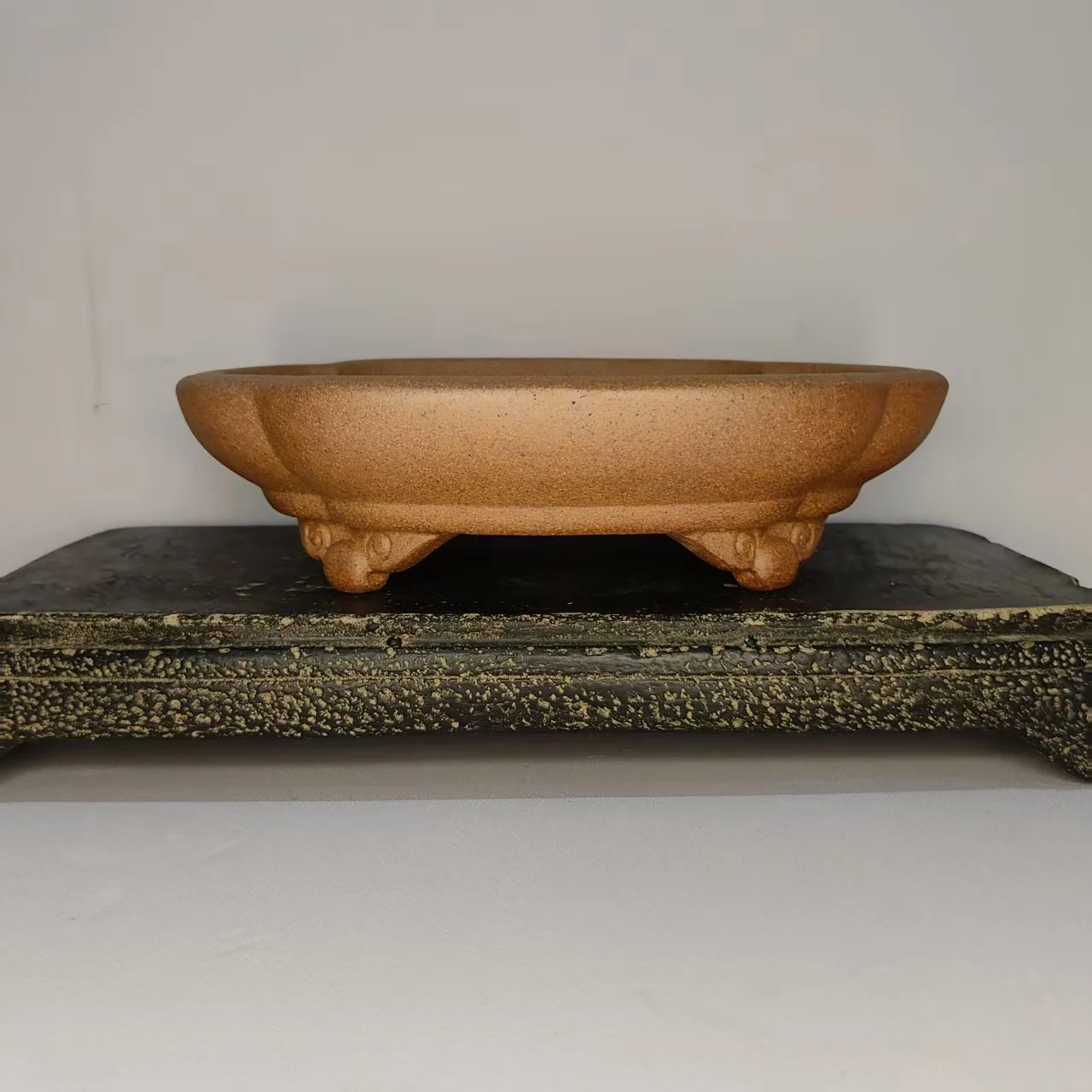 

Неглазированный неглубокий горшок для бонсай Gold Clay Yixing с дизайном облачных ножек