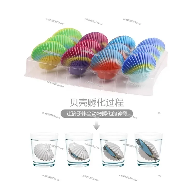 Hatch Egg Toys Water-Soaked Mermaid Girl Children's Scallop Expands and Becomes Big Shell Capable of Hatching Marine Animals