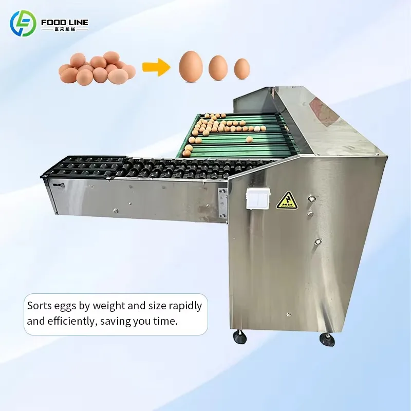 Commercial Egg Sorting Machine Automatic Egg Grader Equipment for Farms and Food Processing Industry