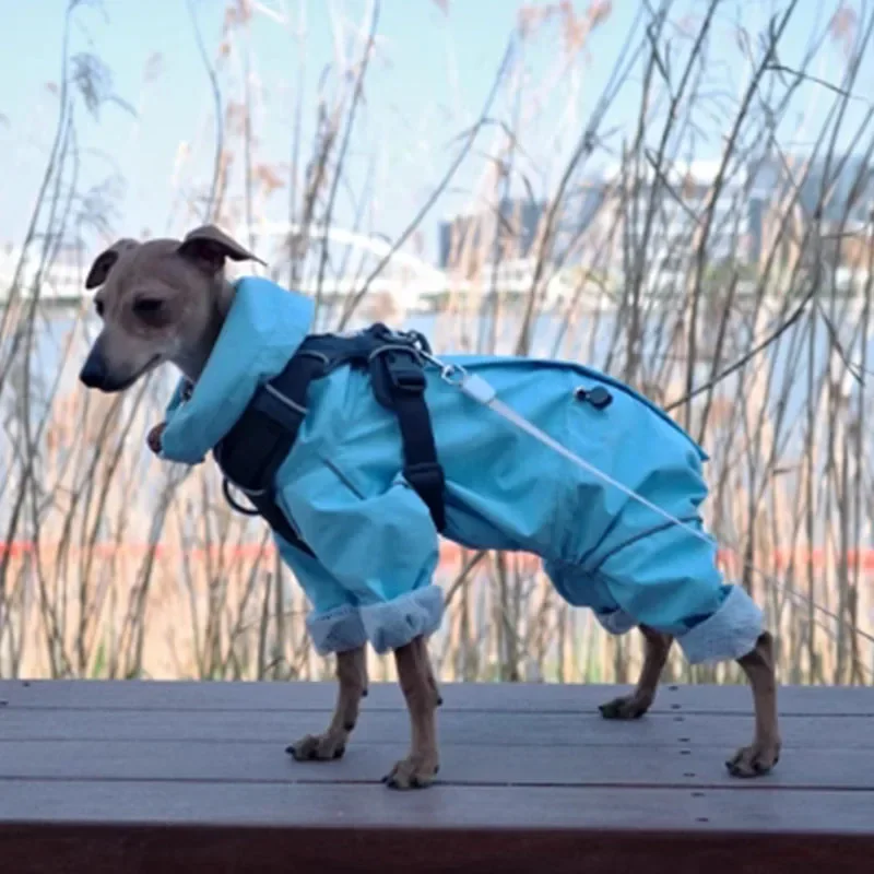 Windproof Dog Raincoat for Greyhound, Whippet- Reflective Dog Windbreaker,For Small Large Breeds,Adjustable Strap 5XL Available