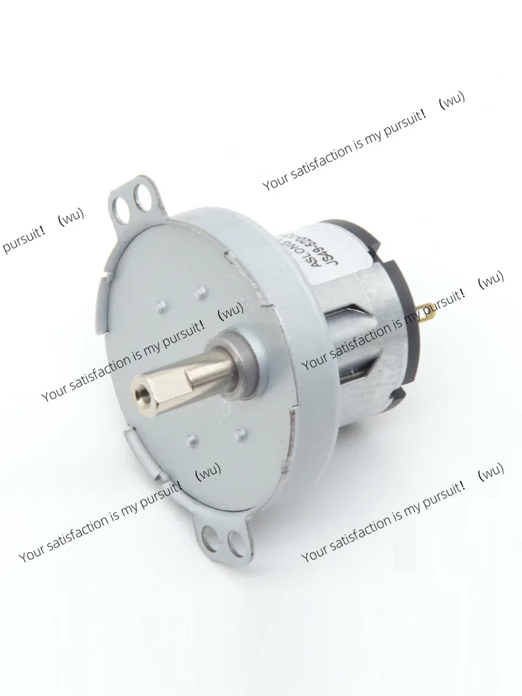 JS49-520 Micro DC 12V 200rpm Gear Motor for Washing Machine