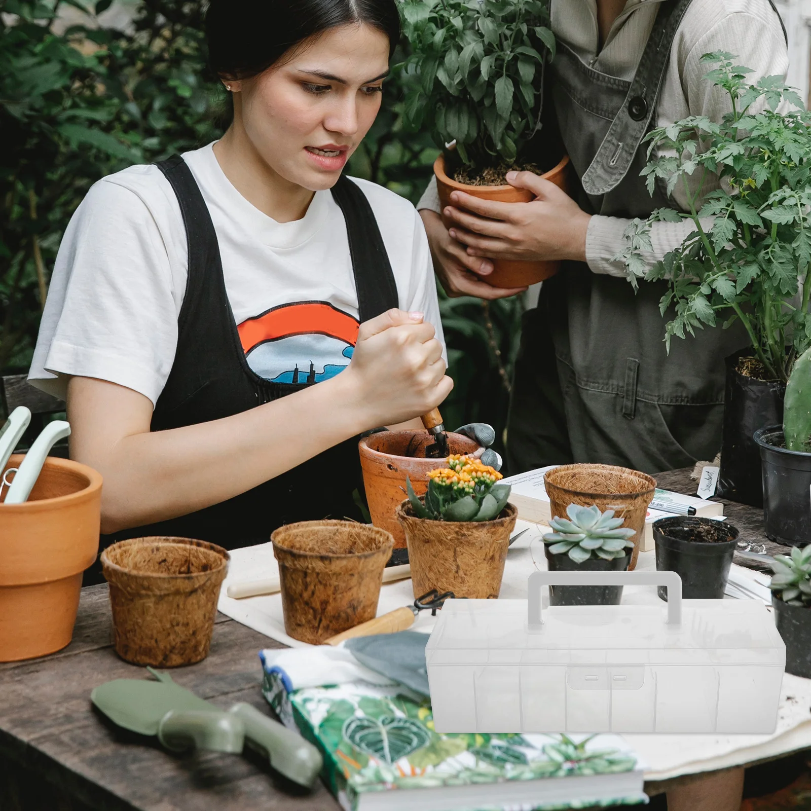 

Clear 12-Compartment Packet Storage Box Portable Plastic Organizer Garden Seed Storage Container Seed Packet Organizer Box