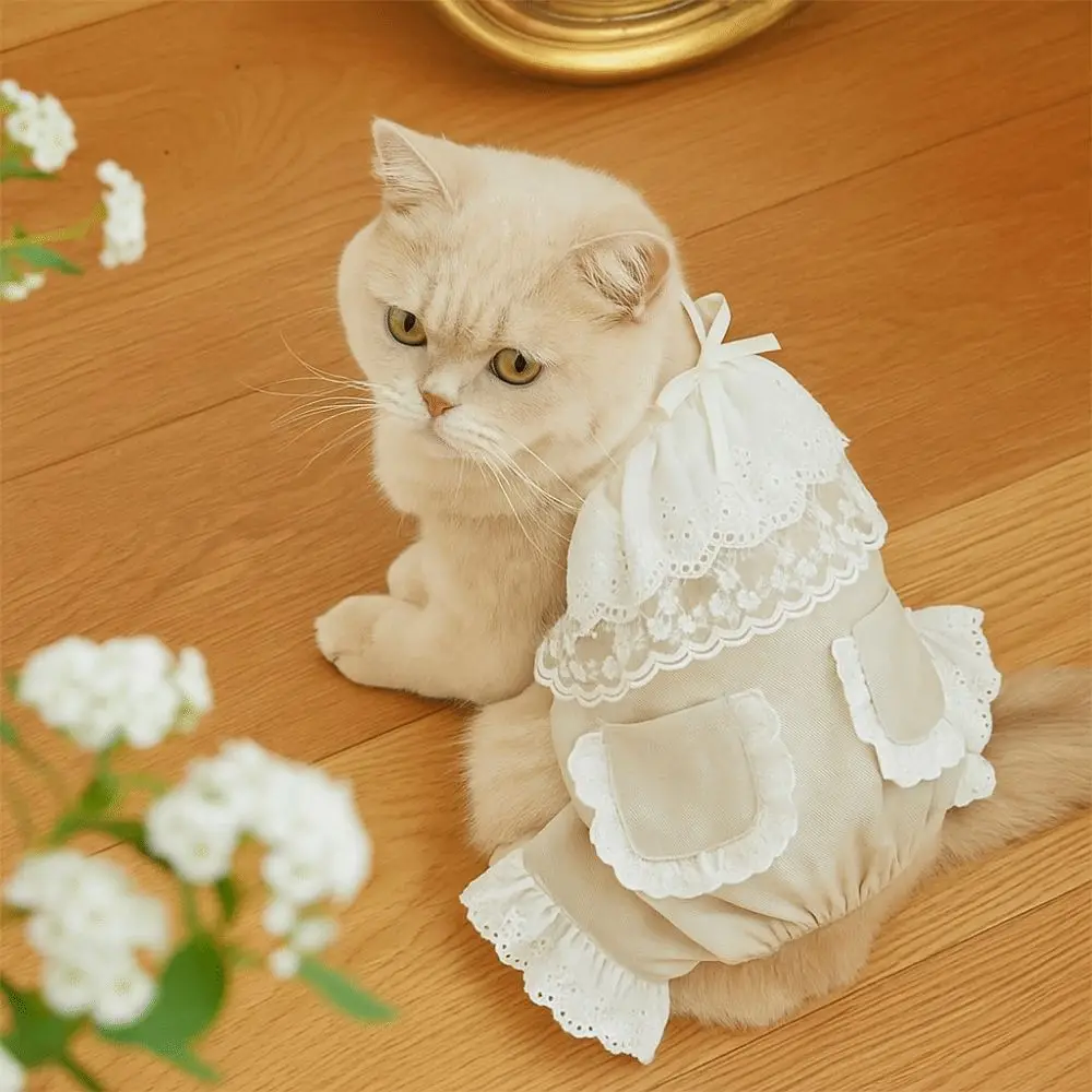 

Comfortable Soft Pet Lace Jumpsuit Fashion Thin Design Dog Pajamas Breathable Dog Clothes Summer