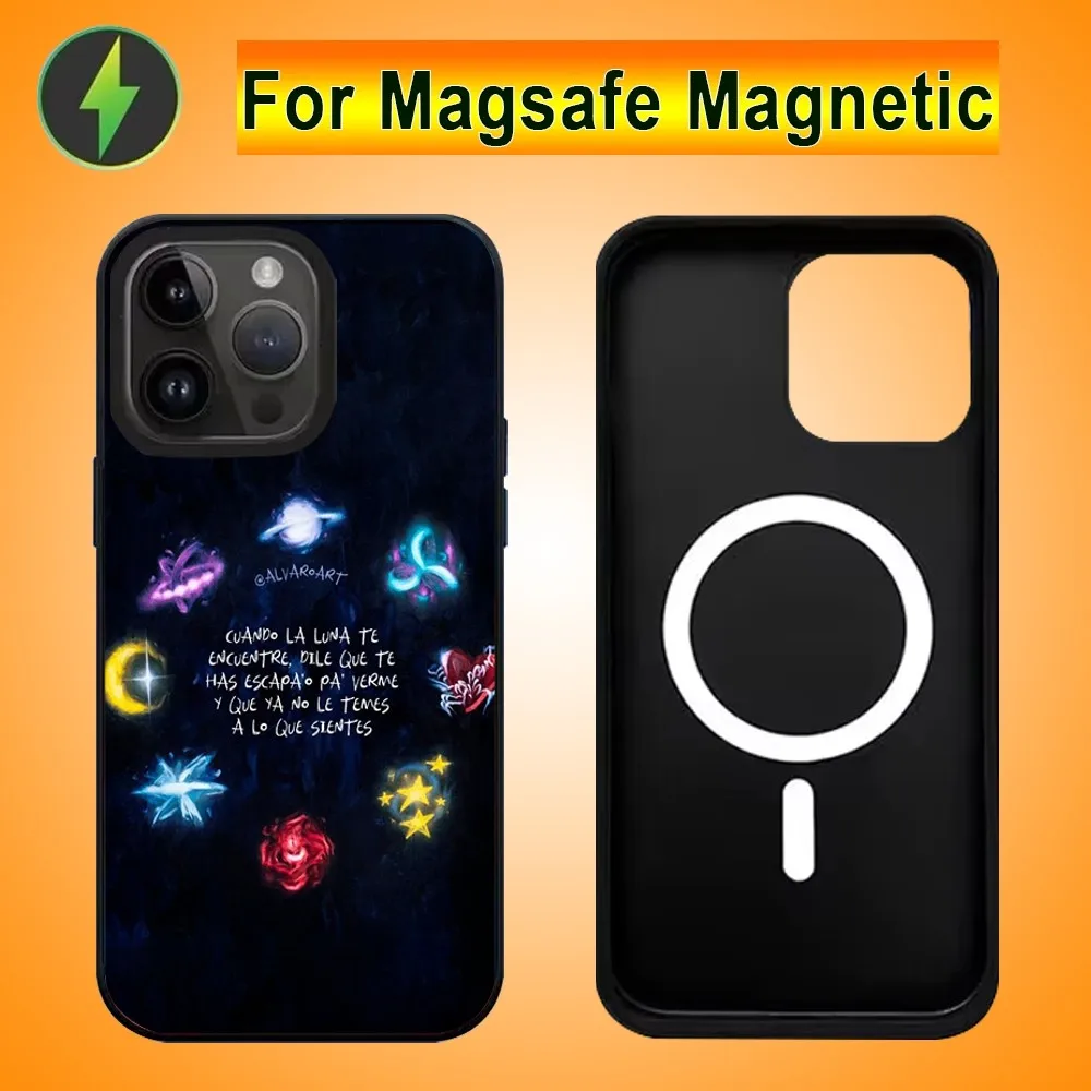 Singer S-Saiko Sakura Phone Case For IPhone 15 14 13 Pro Max 11 12 Mini Alex Mirror For Magsafe Wireless Charging Cover