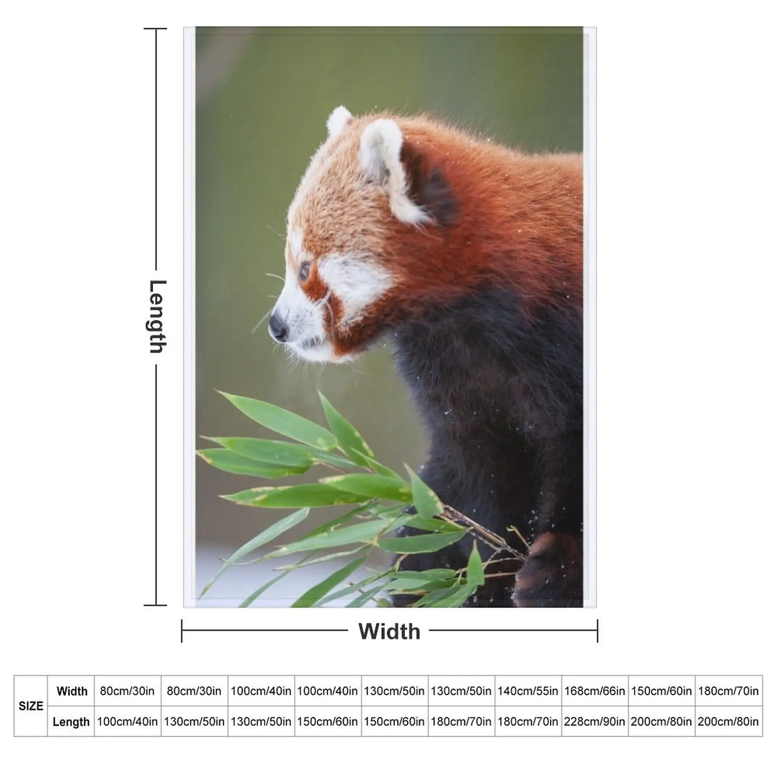 Little panda Throw Blanket Luxury St Summer Beddings Bed covers Designers Furry sofa bed Blankets