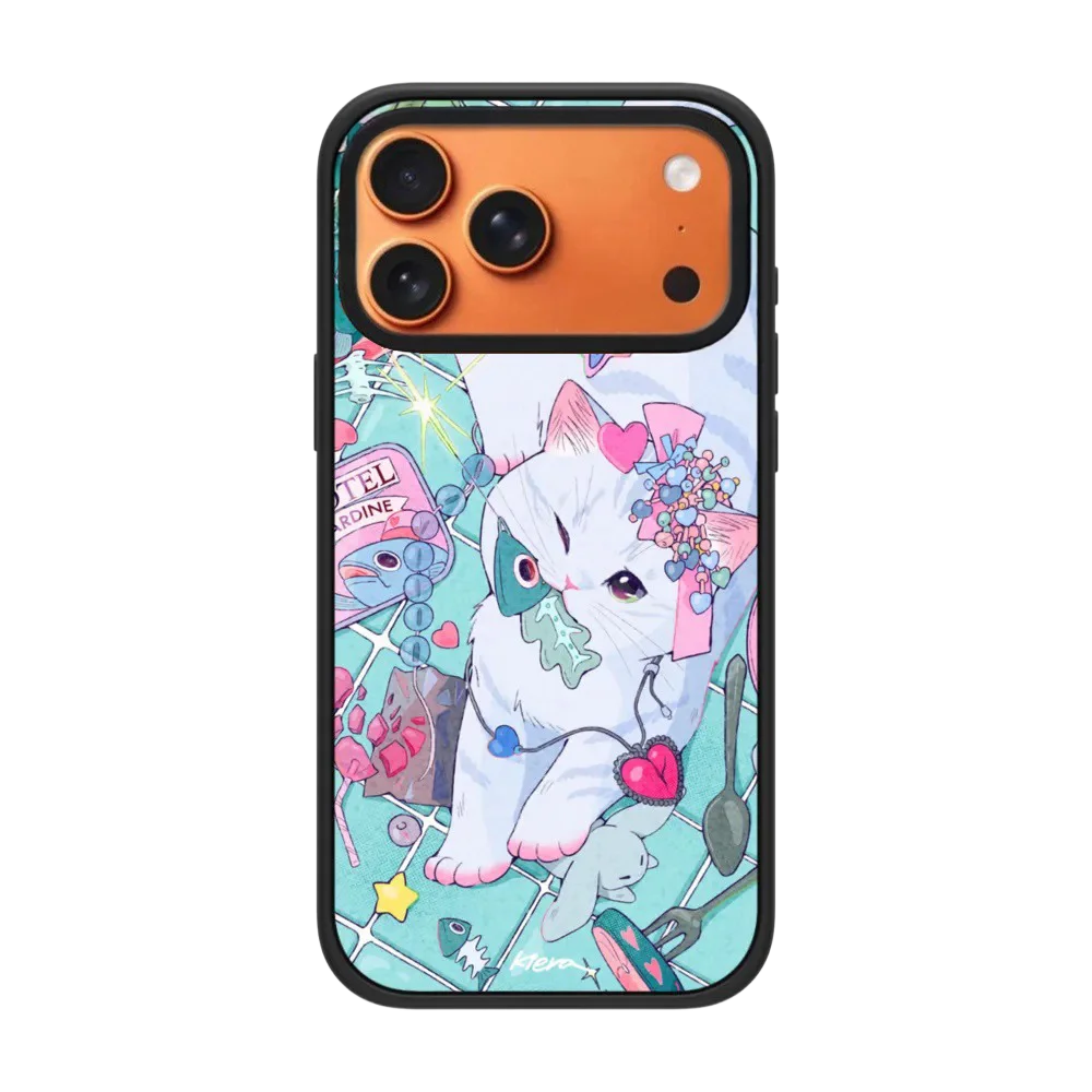 5121920 Acrylic Clear / Mirror Magnetic Case: Compatible with IPhone 17 16 15 14 13 12 Pro Max 17 Air