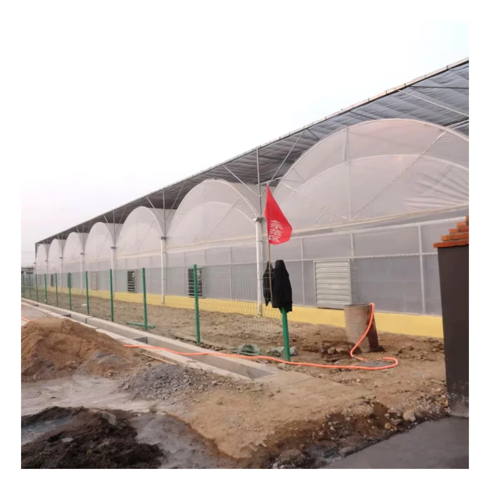 Heavy Duty Metal Frame Greenhouse Walk-in Poly Tunnel PE Material Agricultural Plant Grow Tent for Hydroponic Irrigation System