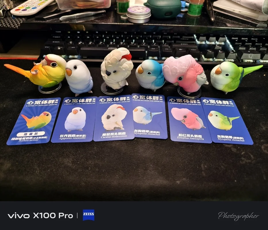 

Authentic Animal Planet Heart Wide Body Fat Series Parrot Surprise Blind Box 2nd Generation Special Edition Collectible Toy Gift