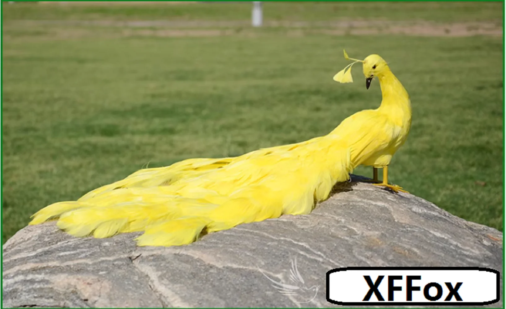 

new simulation peacock bird model foam&feather yellow peacock gift about 50cm xf2926