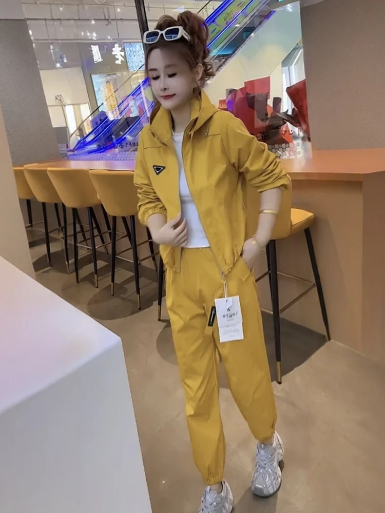 

Осень 2023, новый комплект с капюшоном, женственный темперамент, свободный однотонный топ на молнии с капюшоном, повседневные брюки, модный комплект из двух предметов