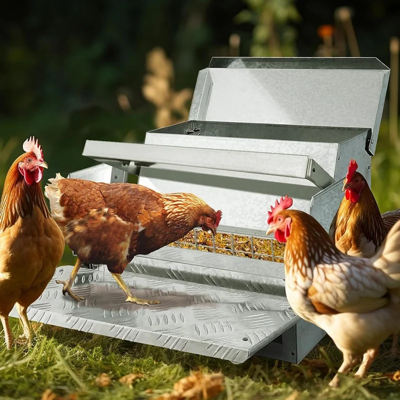 5KG Capacity Automatic Chicken Feeders Treadle Weatherproof Lid Rat Proof Poultry Feeder For Chickens, Ducks, Turkeys