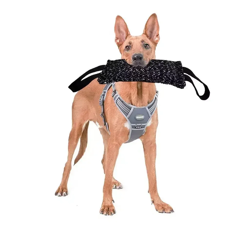 Bite Training Pillow Pet Bite Toy Dog Training Supplies Dog Toy Hemp Stick Bite Stick Pet Bite Pillow Dog Treats