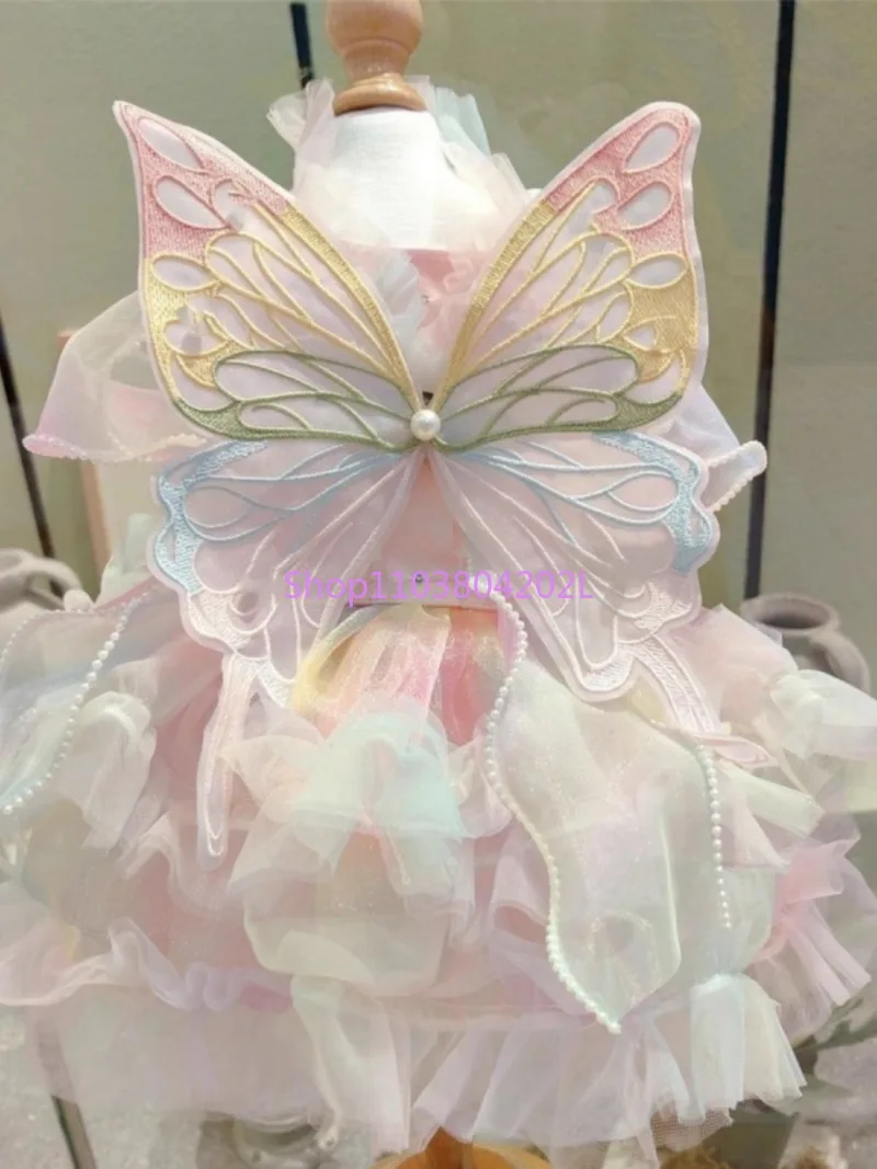 Rainbow Fairy Symphony Pink Butterfly Wings Spring Summer Cat Bigbear Teddy VIP Golden Retriever Corgi Fairy Dress