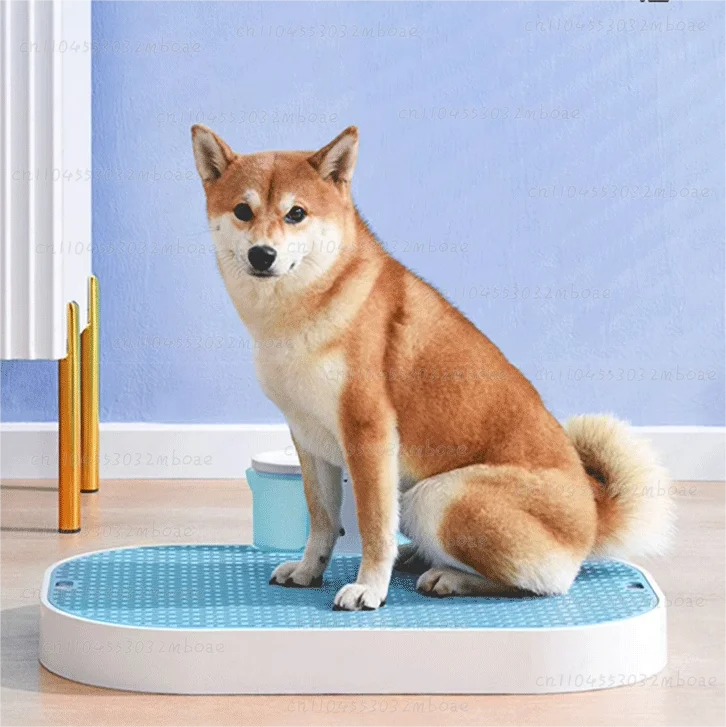 toilette-automatique-pour-chien-avec-tapis-absorbant-en-maille-poterie-d'interieur-pour-animaux-conception-ouverte-tapis-amovible-et-antiderapant-pour-chiens