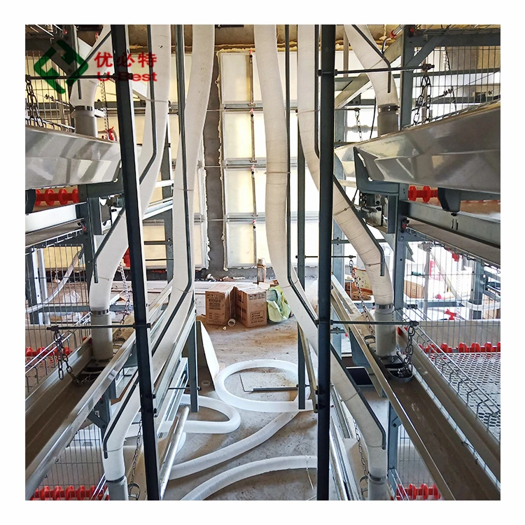 Durable Galvanized Sheet Structure Laying Hen Cage H Type Chicken Farming Equipment From China Manufacture
