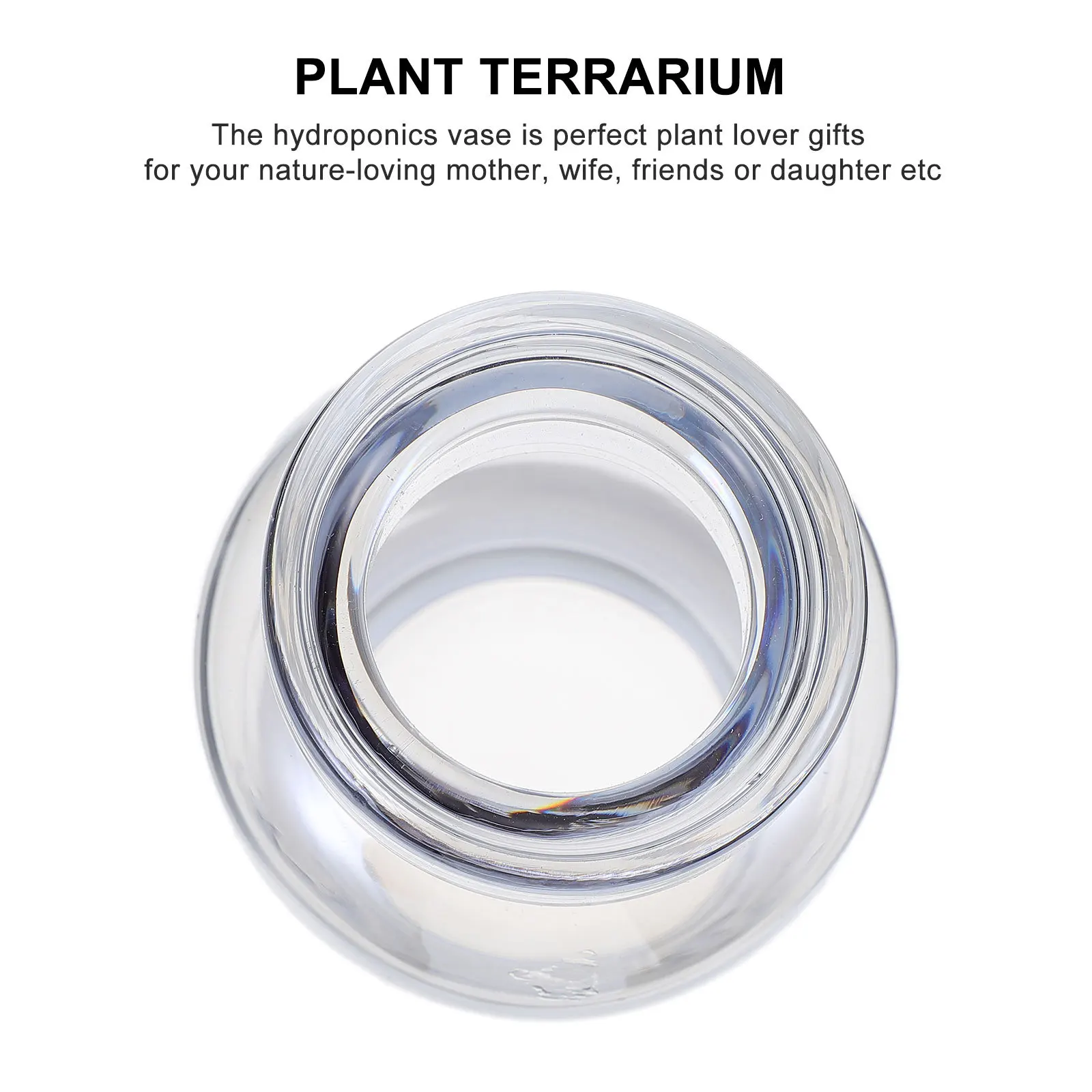 

High Quality Glass Vase Hydroponics Planter Desktop Home Decoration Practical Beautiful Design Hydroponic Plants Vase