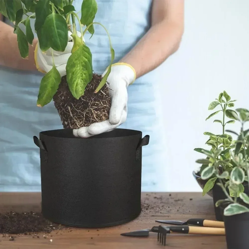 1/2/4/5PCS 3 Gallon 11 Liter Thickened Non-Woven Vegetable Flower Plant Grow Bags Aeration Fabric Pots for Gardening gallery 2