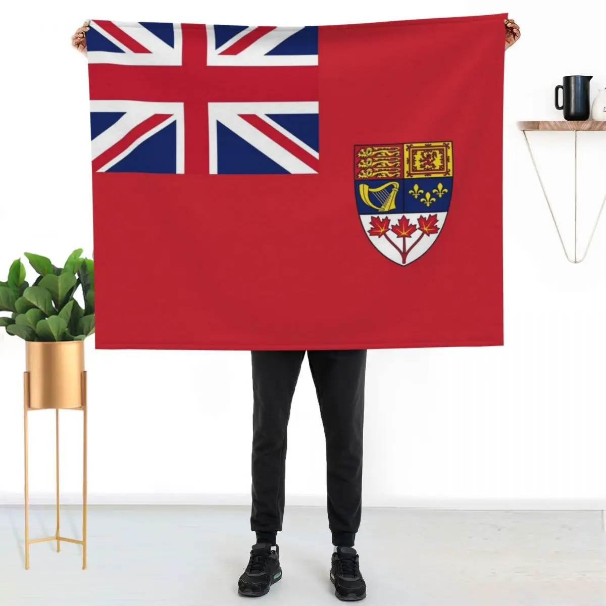 Canada Red Ensign Flag vintage canadian symbol HD High Quality Online Store Throw Blanket Hair anime decorative Blankets