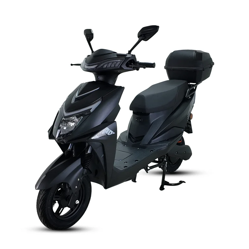 Popular Professional Customization 1000W 45km/h Electric Bicycle  Electric Motorcycle