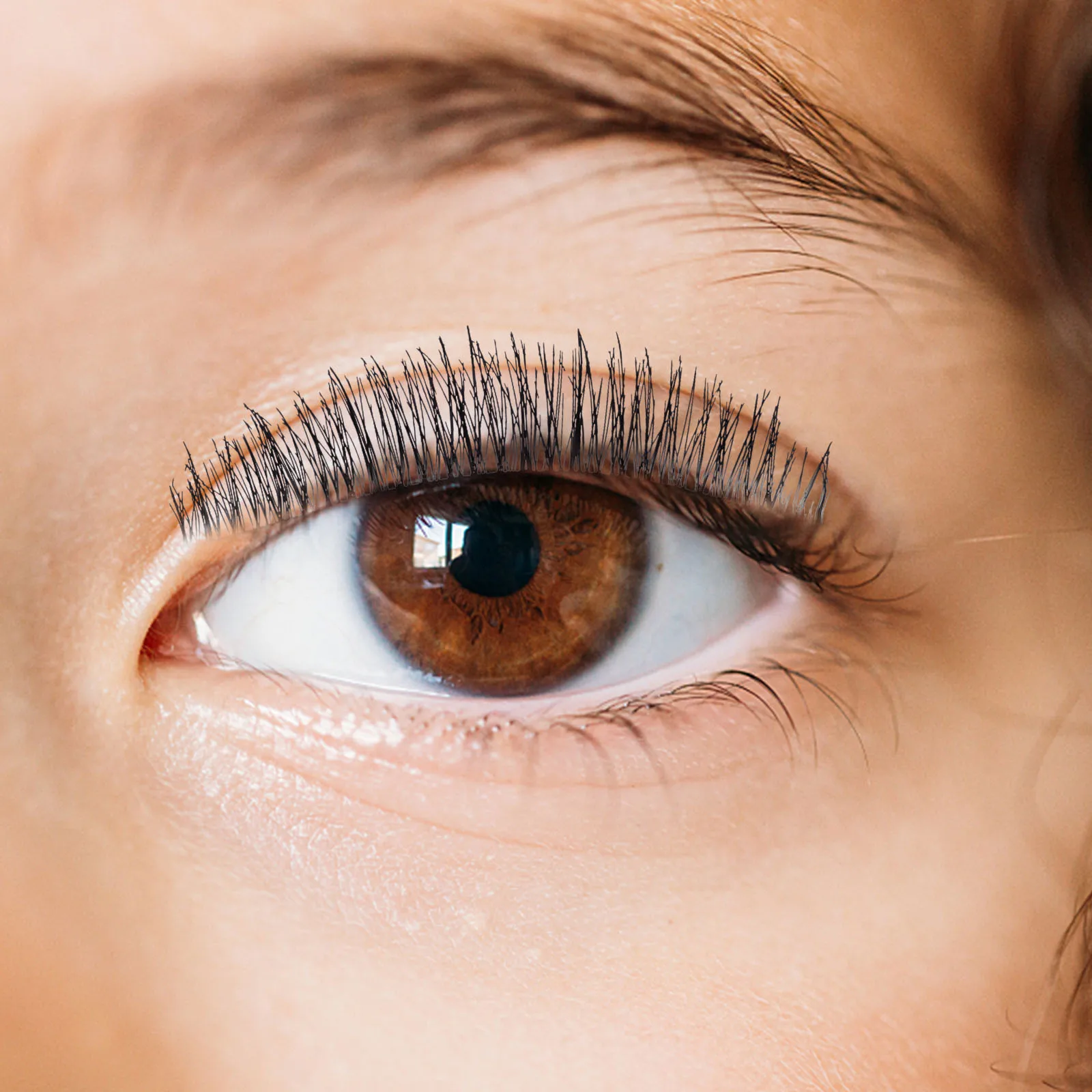 

5Pairs Long False Eyelash Natural Eye Lashes Extension Fashion Makeup Eyelashes Bright Attractive Daily Party Fake Eyelash