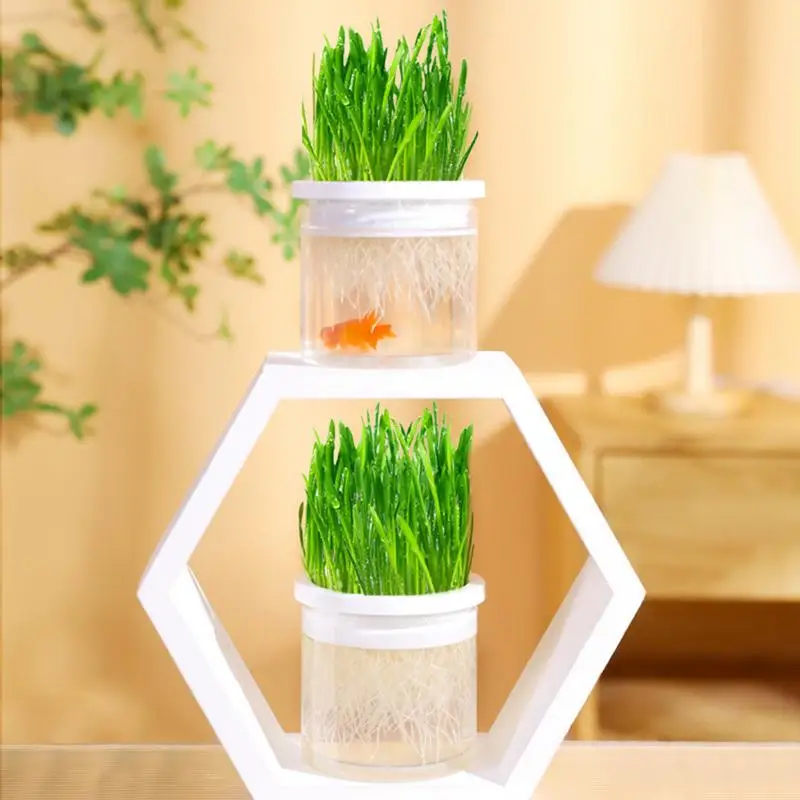 Pet Cat Sprout Dish Growing Pot Hydroponic Plant Cat Grass Germination Digestion Dish Clear Greenhouse Grow Box