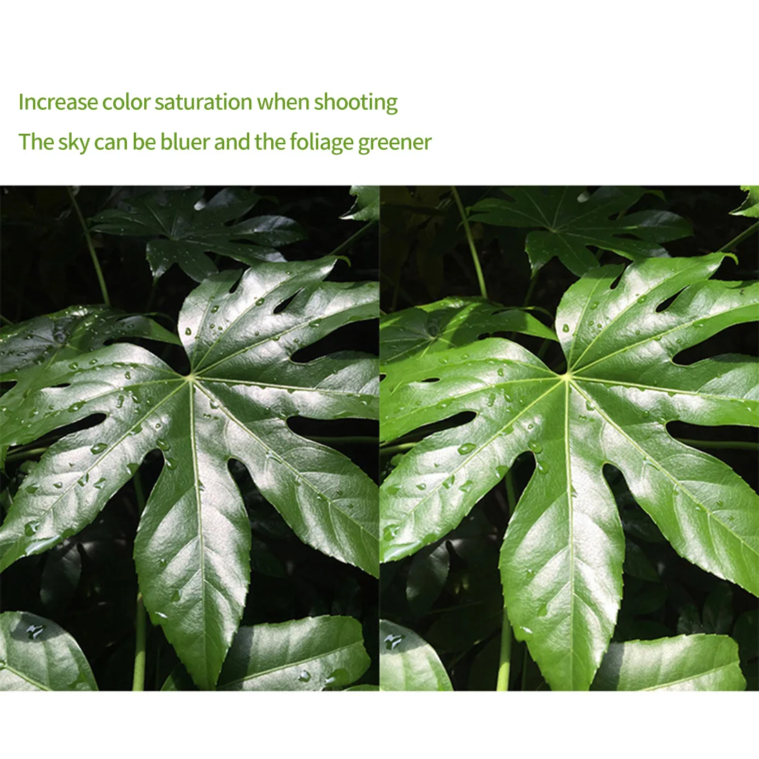 التعميم الاستقطاب CPL تصفية 37 مللي متر 52 مللي متر 58 مللي متر التصوير لكانون نيكون سوني عدسة الكاميرا