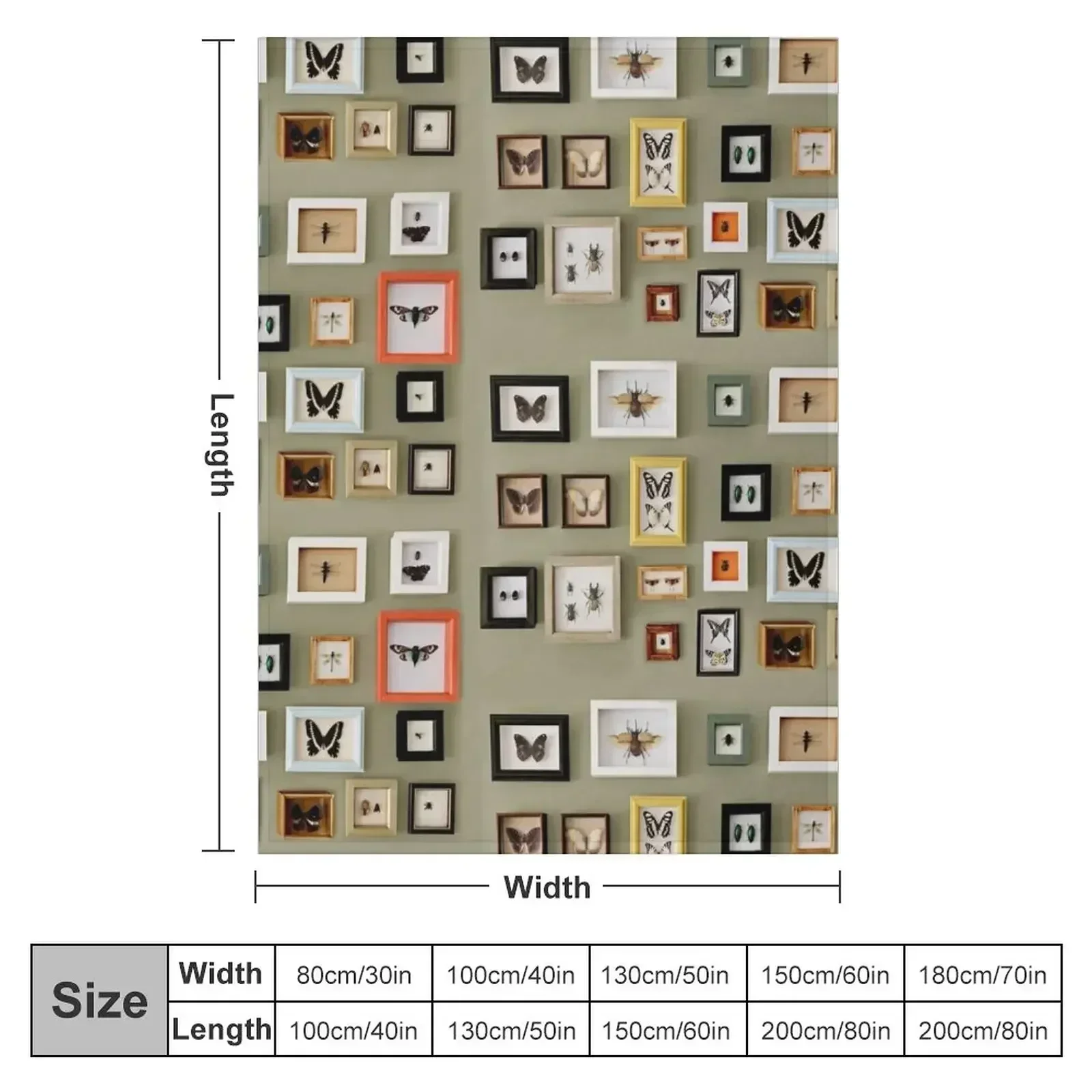 Insect Picture Frame Wall Throw Blanket Loose Hair For Baby Picnic Blankets