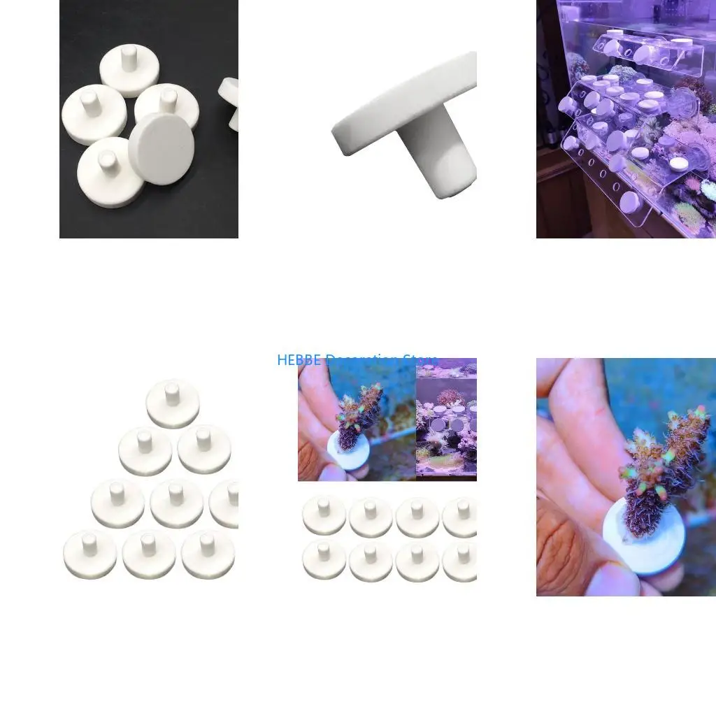 B0KC 10pcs Coral Frag Disks Ceramic Saltwater Aquarium Coral Rack Support Bracket