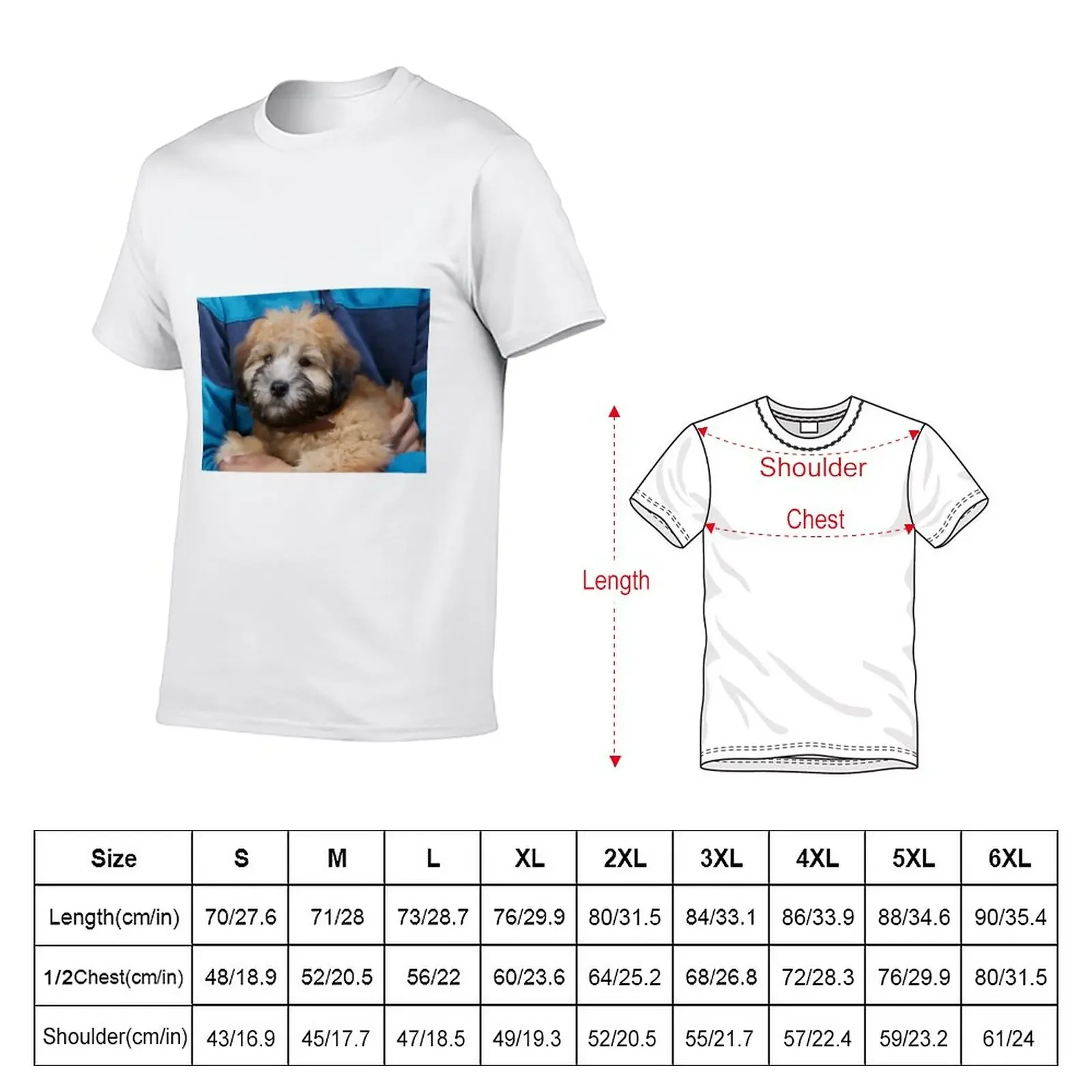 Soft coated Wheaten Terrier puppy dog. T-Shirt cute clothes plain Men's cotton t-shirt