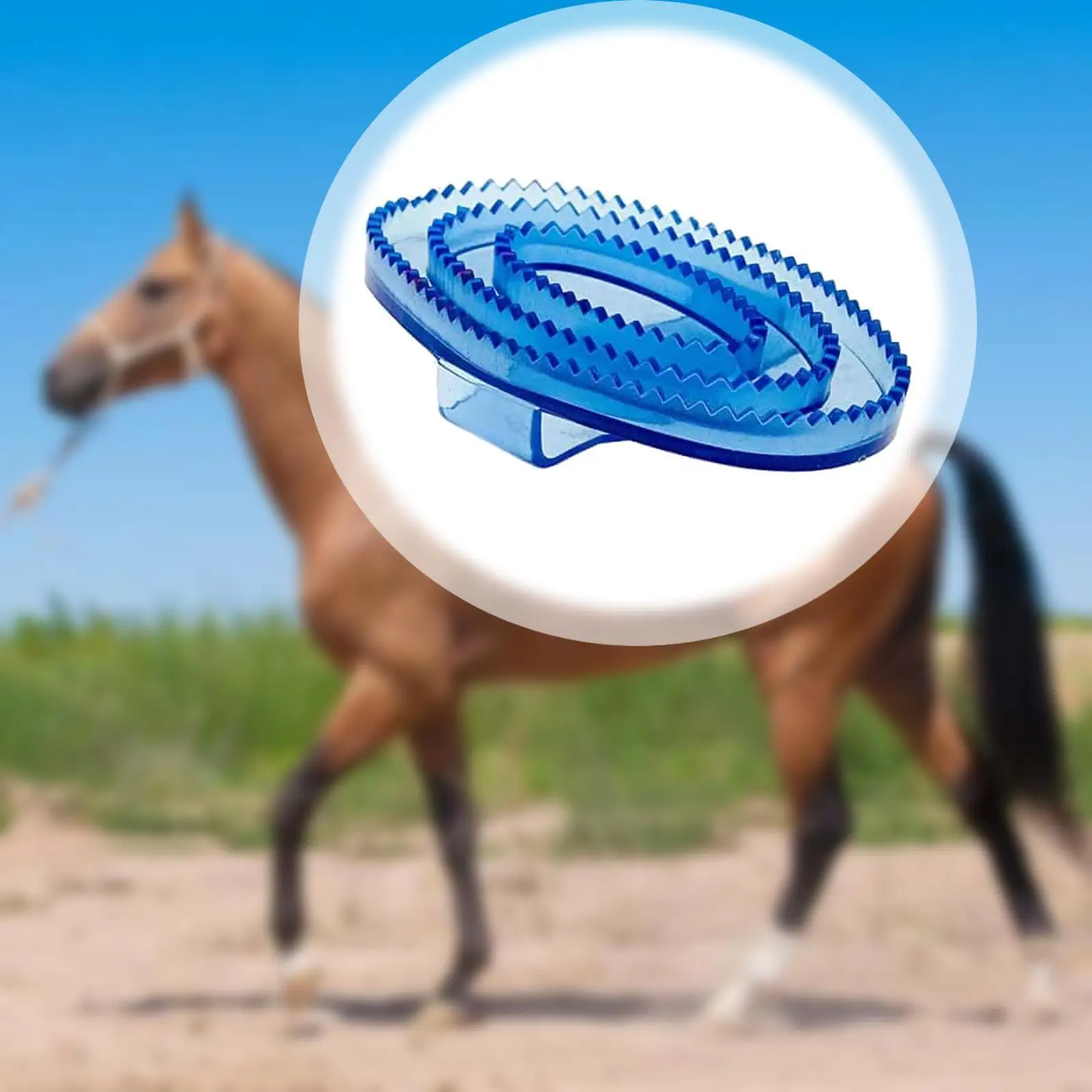 Equine Grooming Massage Curry Brush PVC Soft Rubber Body Scrubber Horse Tool Kit Keyword for Horse Cleaning Set view 3