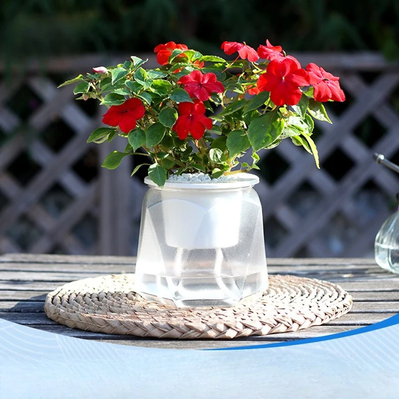 New C105 transparent diamond shaped lazy plastic flowerpot for gardening