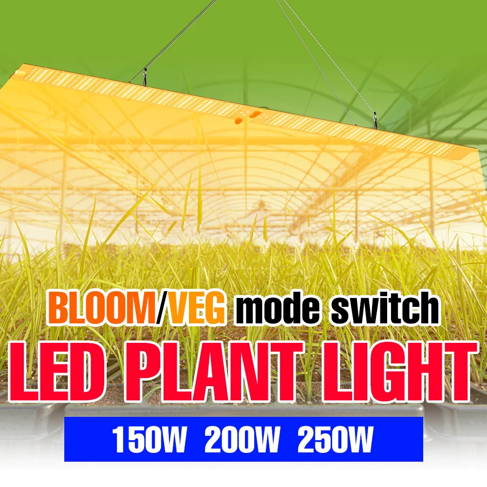 250w-led量子ボード植物育成ライト-フルスペクトル-室内栽培ボックス-温室-水耕栽培-野菜播種補助照明