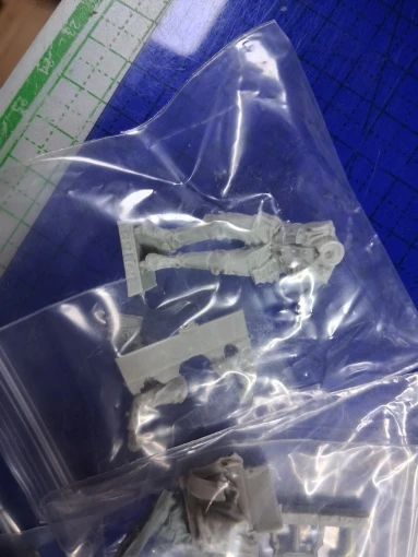 Buyer photo of this resin kit