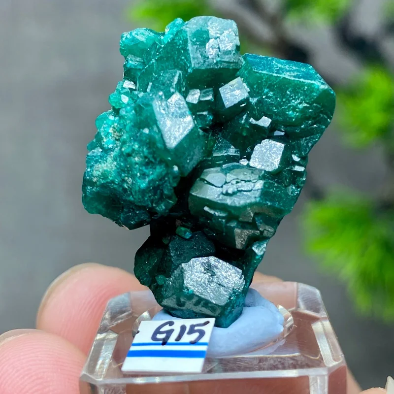 

Rare Congo Dioptase Crystal Cluster Natural Green Mineral Specimen Raw Quartz Healing Stone Teaching Collection Home Decor G1-27