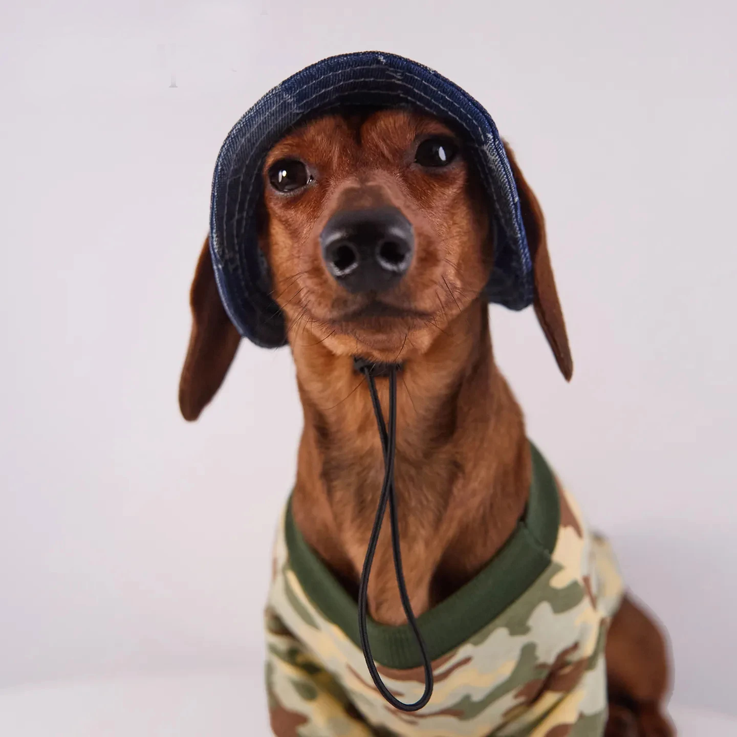 Gorra solar transpirable para perros pequeños y medianos - imagen 2