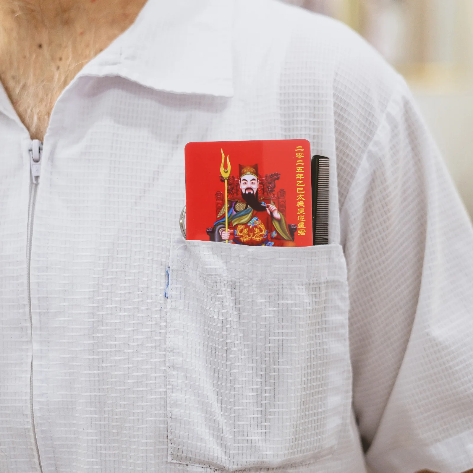 

2Pcs Card Chinese New Year Fortune Amulet Unique Snake Year 2025 Blessing Protection Feng Shui Good Luck Decor