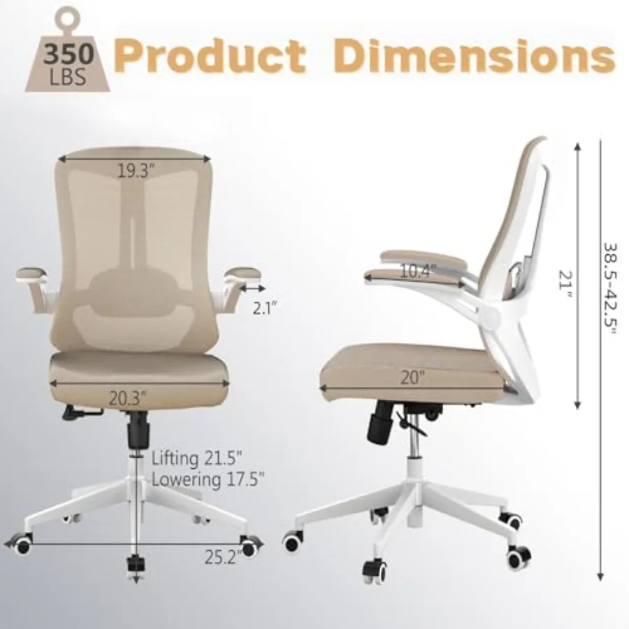 Ergonomic Office Chair for Home Office and Study - Mesh Back, Black, 350LB Capacity with Lumbar Support and Rolling Wheels