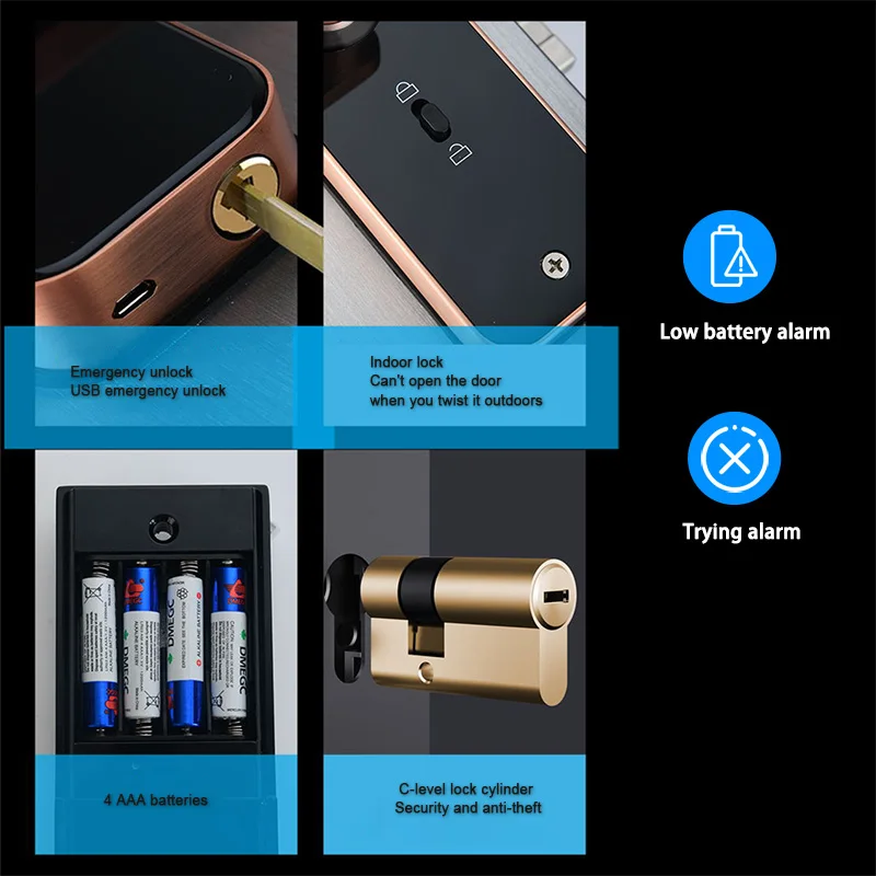 Tuya Wifi Electronic Smart Door Lock With Biometric Fingerprint Card Password Key Unlock USB Emergency Charge SA Local shipment