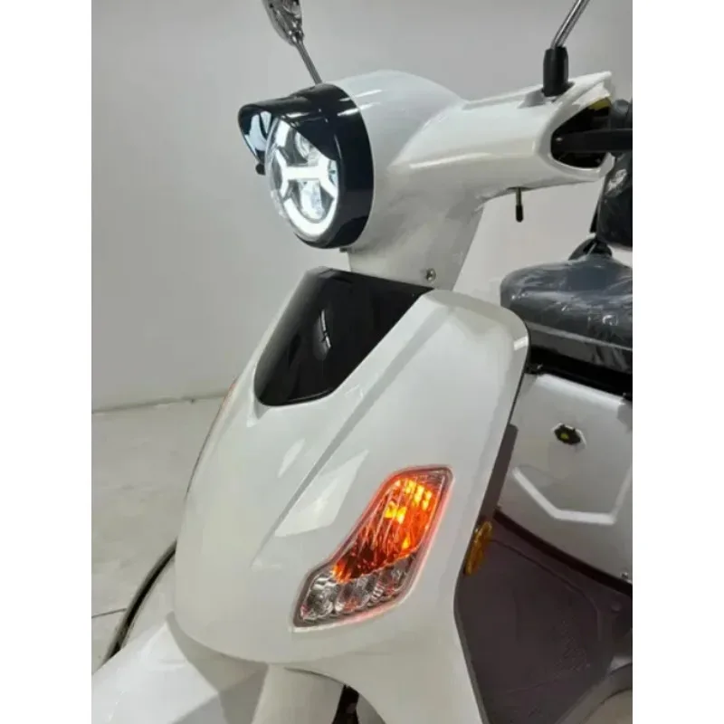 Meistverkauftes Modell Gecko-L Moped-Roller 3 Räder 1000 W 25 km/h EU Street Legal Elektrofahrrad Mobilität E Sco