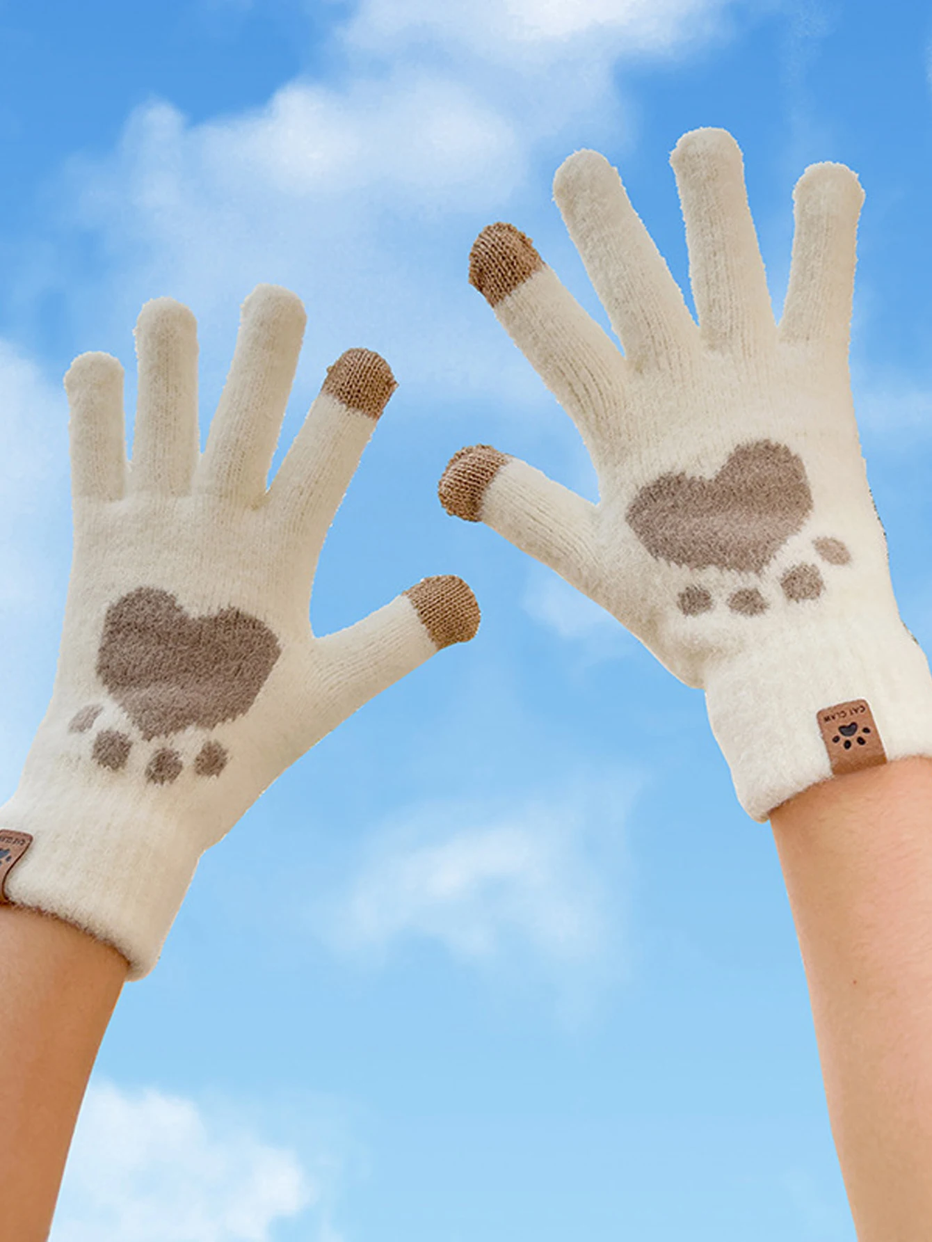 New Plush Gloves for Warmth in Autumn and Winter, with Thick and Plush Insulation to Prevent Cold, High-End Knitted Touch Screen