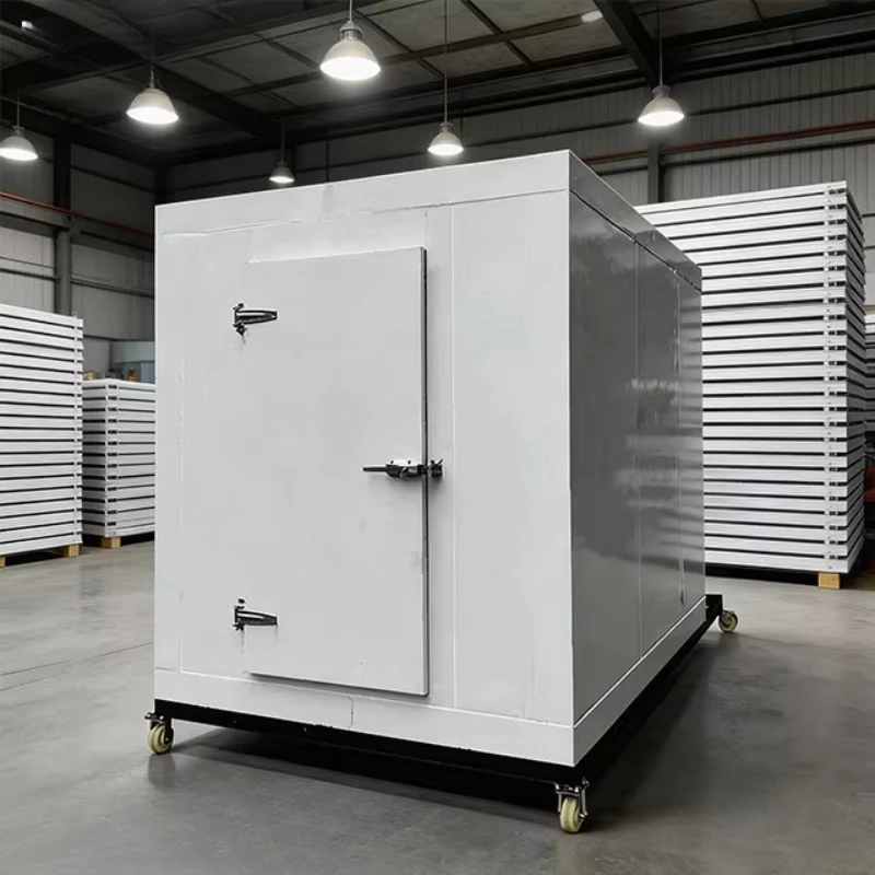 Mobile Cold Storage Room for Fish Meat Vegetable Ice Store Commercial Cool Room Cold Storage Walk in Freezer Chiller Cold Room