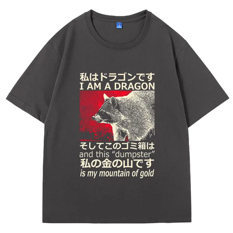 Funny Dragon Raccoon Japanese Graphic T Shirts Male Vintage Fashion T Shirt Cotton Oversized Y2k Streetwear T-shirt Men Women's